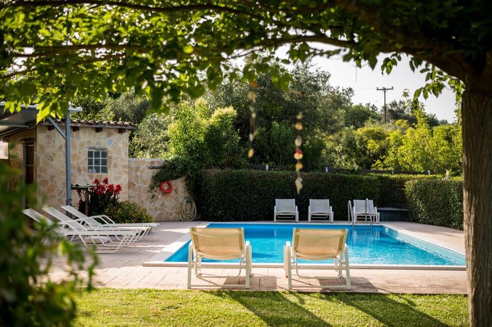 Garden, Garden view, Pool view, Swimming pool, sunbed