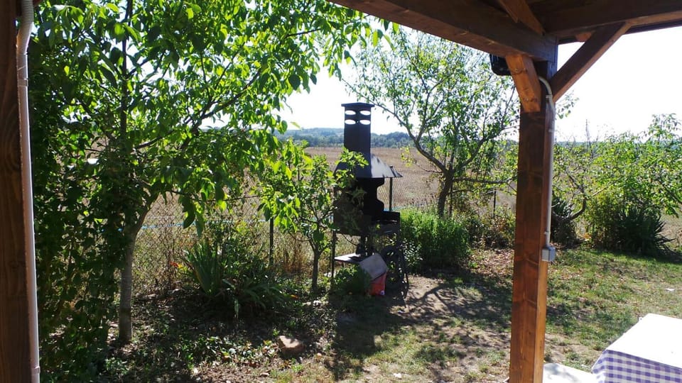 BBQ facilities, Garden, Garden view, Meals, Lunch, Dinner