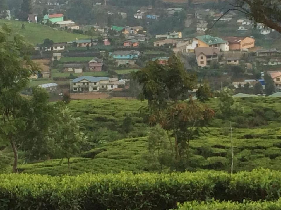 Avon Field Holiday Bungalow Vacation rental in Nuwara Eliya
