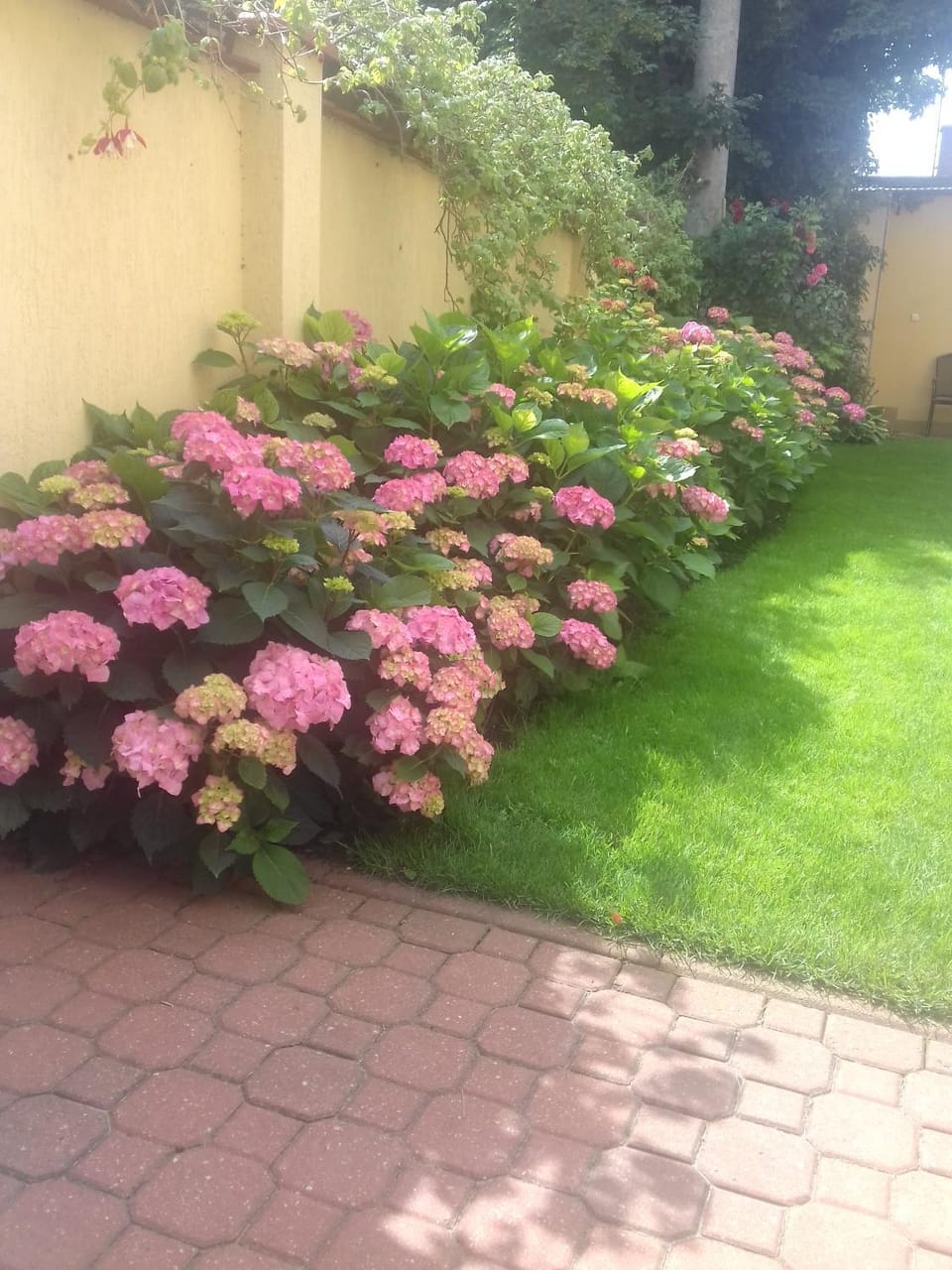 Natural landscape, Summer, On site, Garden view