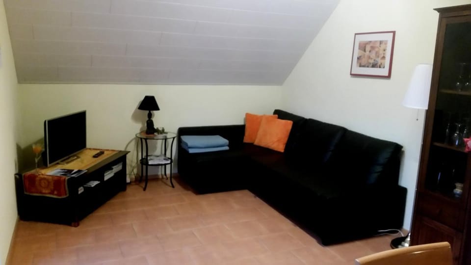 TV and multimedia, Living room, Photo of the whole room, Decorative detail, Seating area