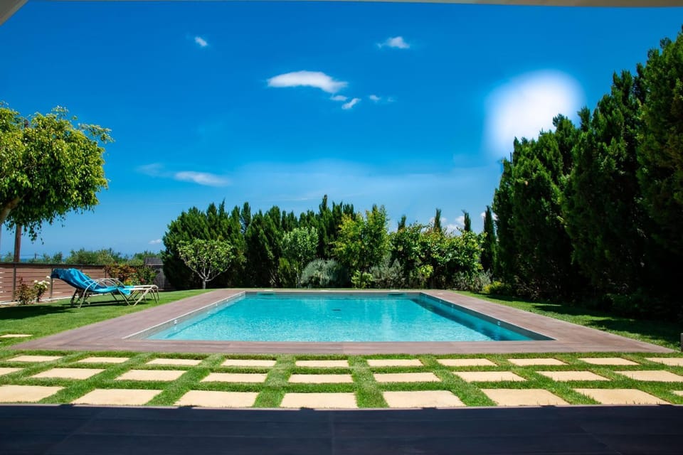 Patio, Day, Garden, Garden, Garden view, Pool view, Swimming pool, sunbed