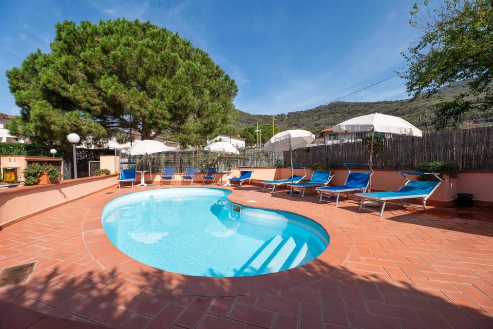 Day, Pool view, Swimming pool