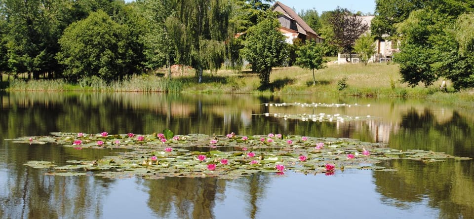 Property building, Day, Summer, On site, Garden view, Lake view