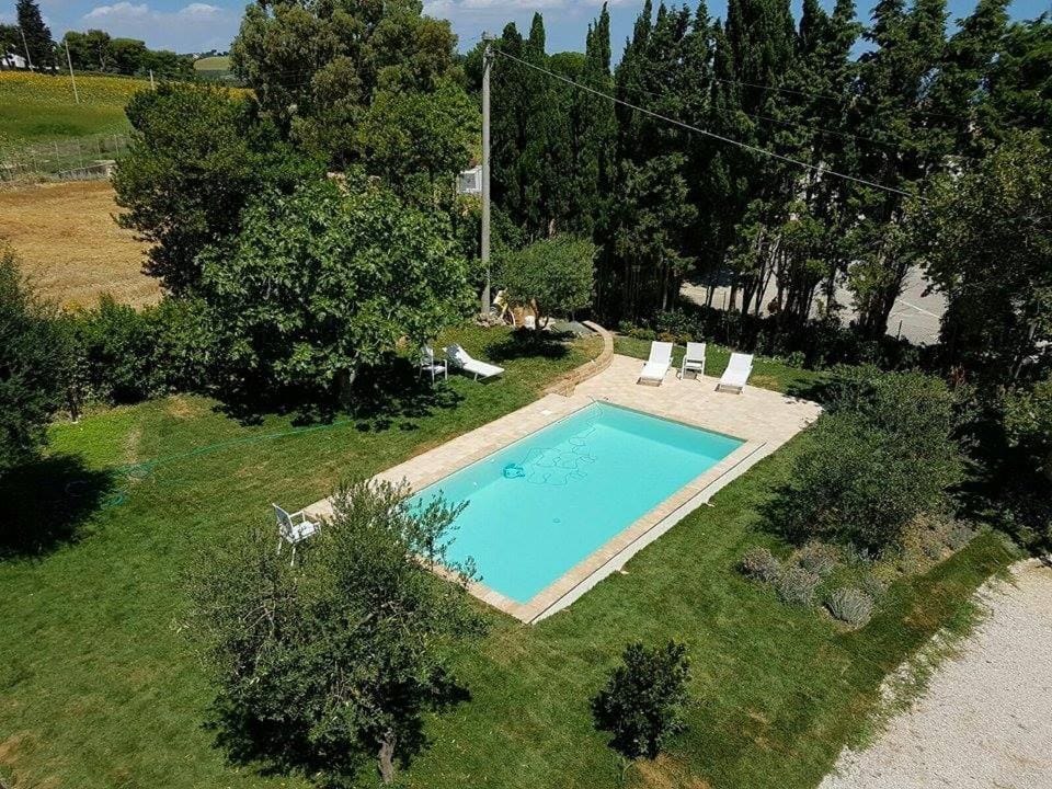 Day, Pool view