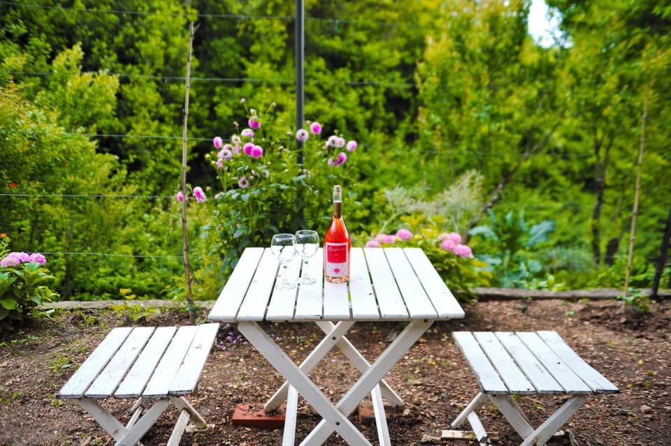 Patio, Garden, Drinks
