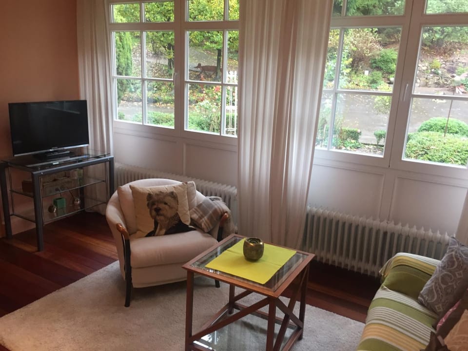 Living room, Garden view