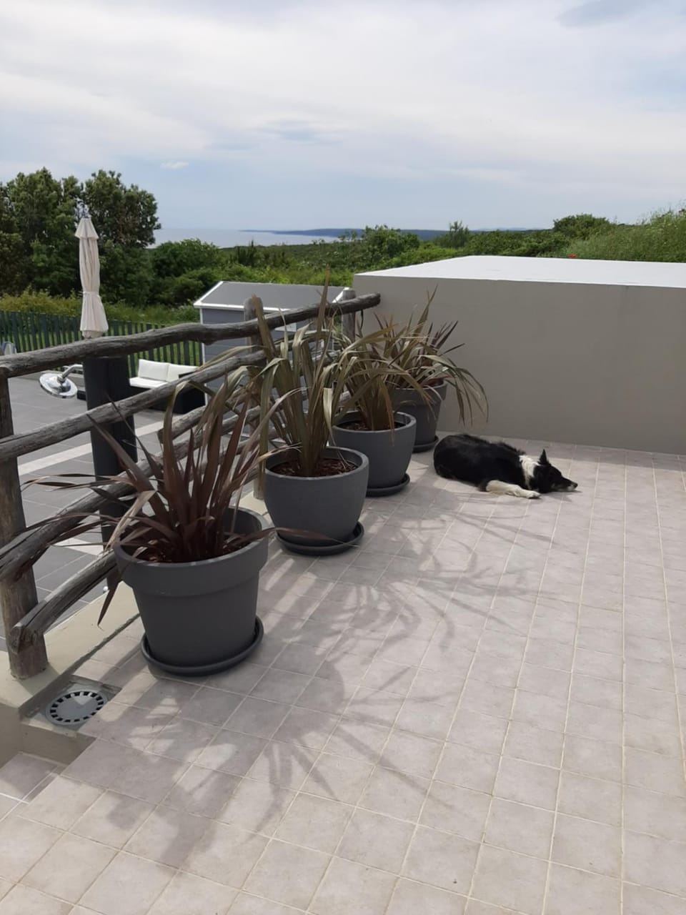 Balcony/Terrace, Sea view