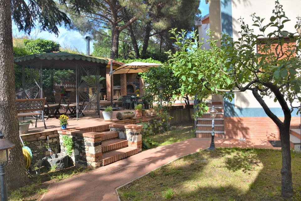 Patio, BBQ facilities, Garden, Solarium, Balcony/Terrace, Garden view