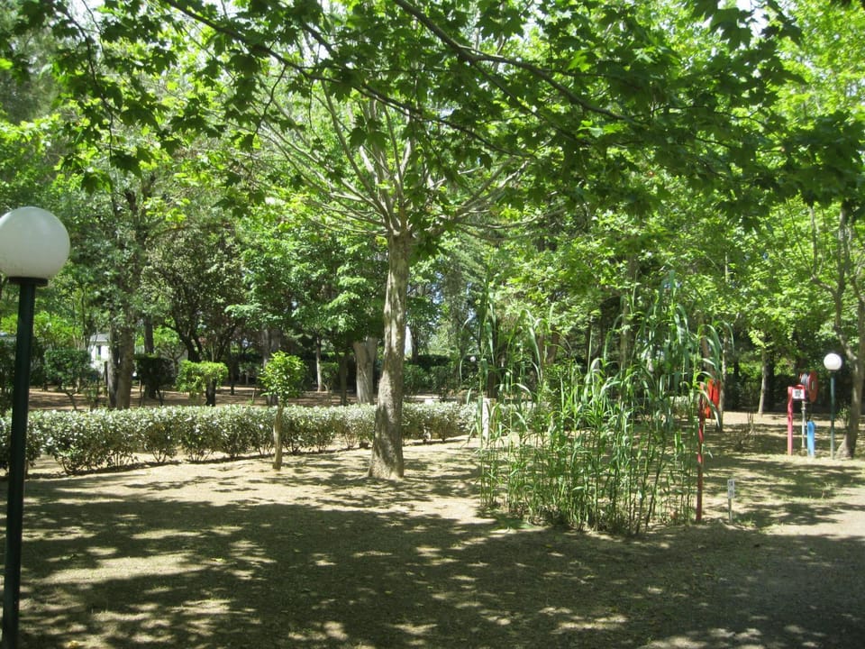 Natural landscape