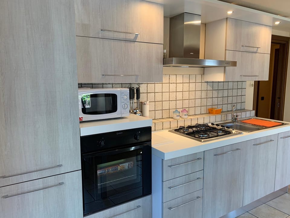 Kitchen or kitchenette, dishwasher, minibar, pet friendly, stove