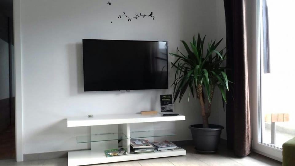 Communal lounge/ TV room, TV and multimedia