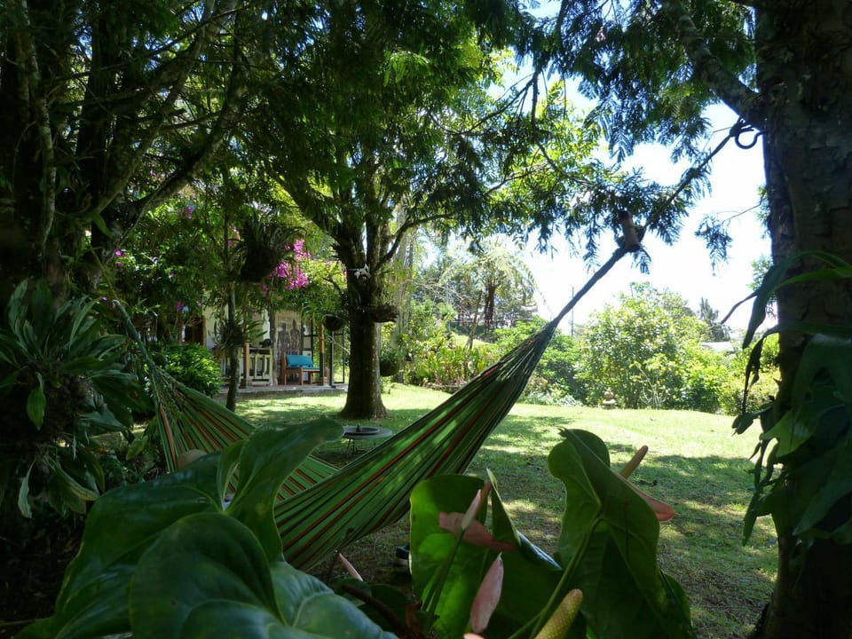Off site, Day, Natural landscape, Garden, On site