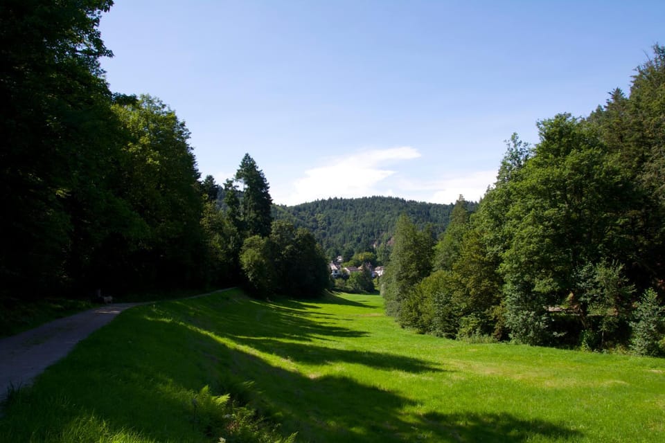 Natural landscape