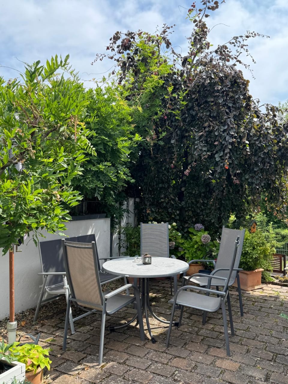 Garden, Balcony/Terrace, Dining area