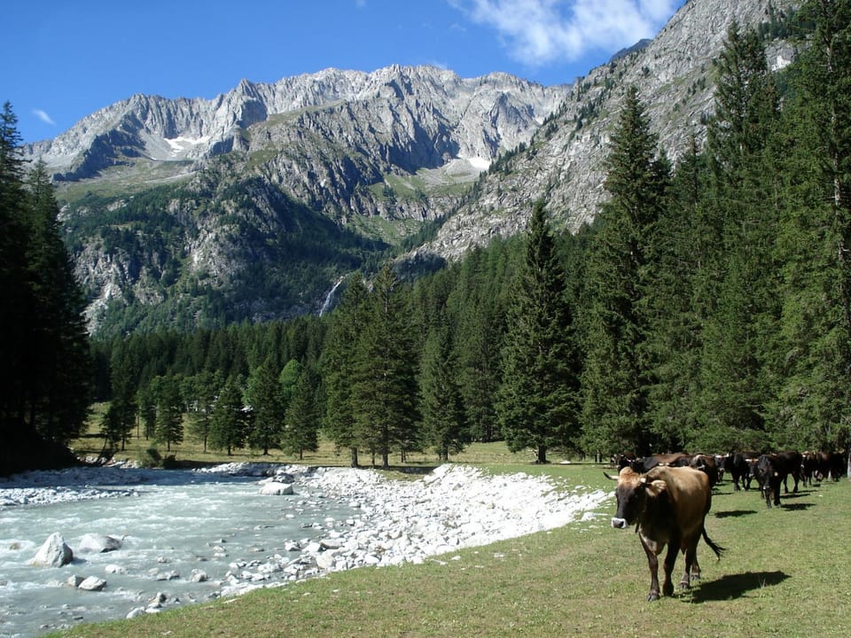 Nearby landmark, Natural landscape, Hiking, Cycling, Sports