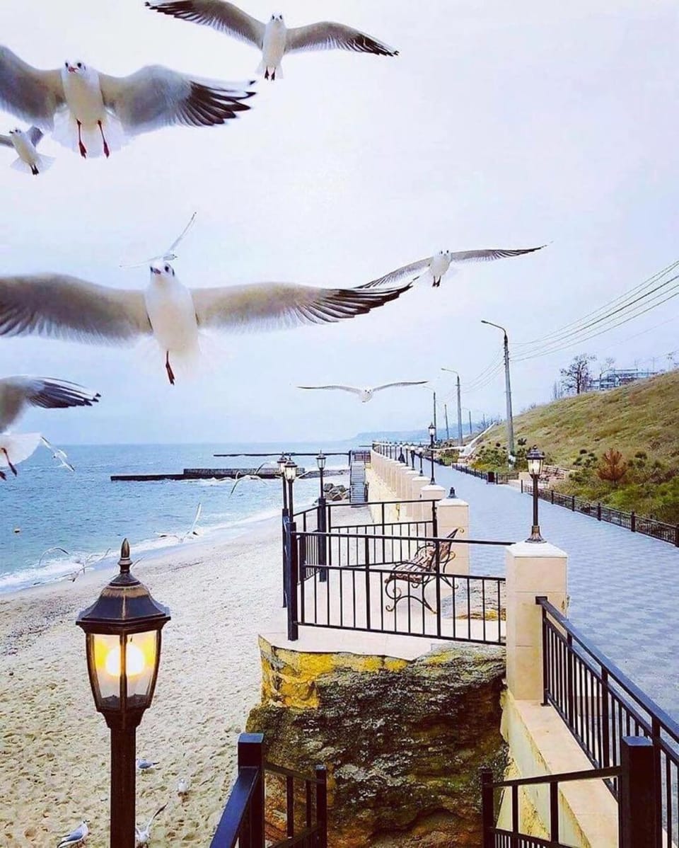 Beach, Sea view