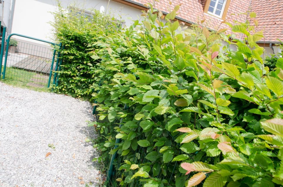 Whitley cottage House in Hauts-de-France