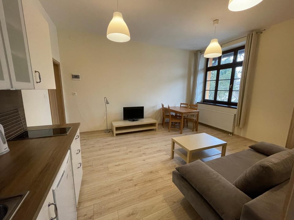 Bed, Kitchen or kitchenette, Living room