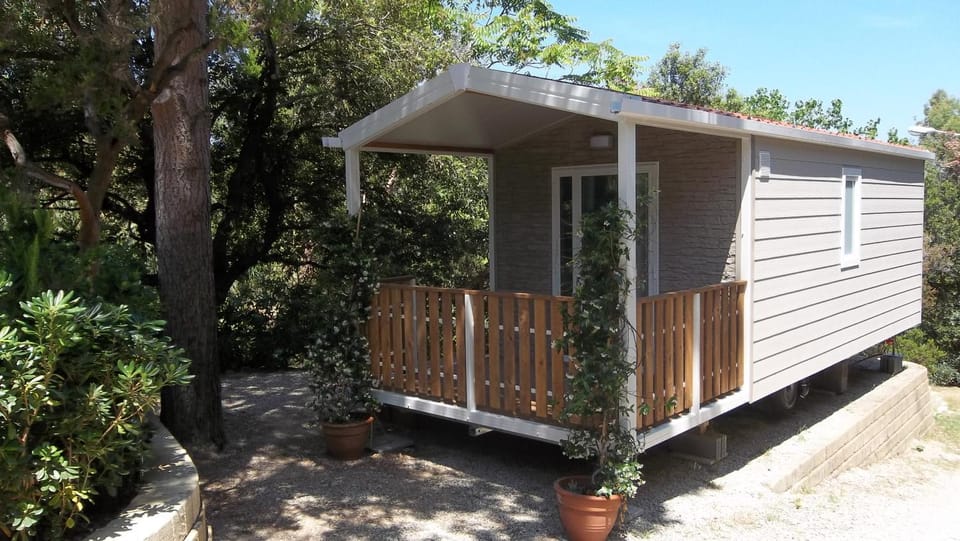 Property building, Garden, Garden view