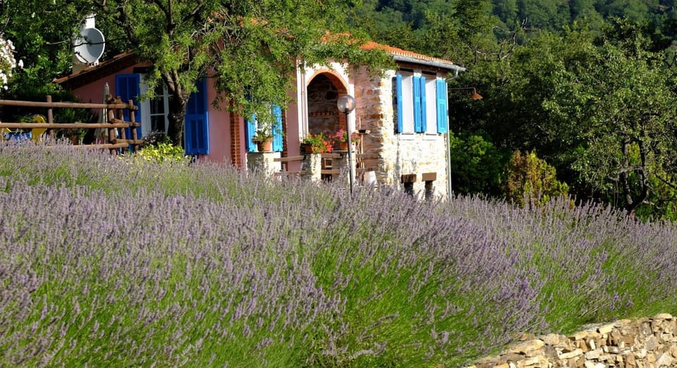 Property building, Garden view
