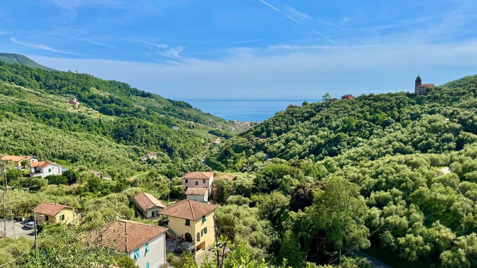 Spring, Day, Natural landscape, Bird's eye view, View (from property/room), View (from property/room), Sea view