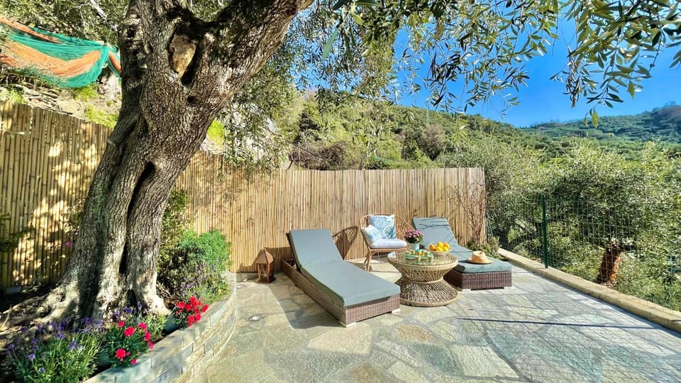 Patio, Spring, Natural landscape, Garden, Balcony/Terrace, Garden view