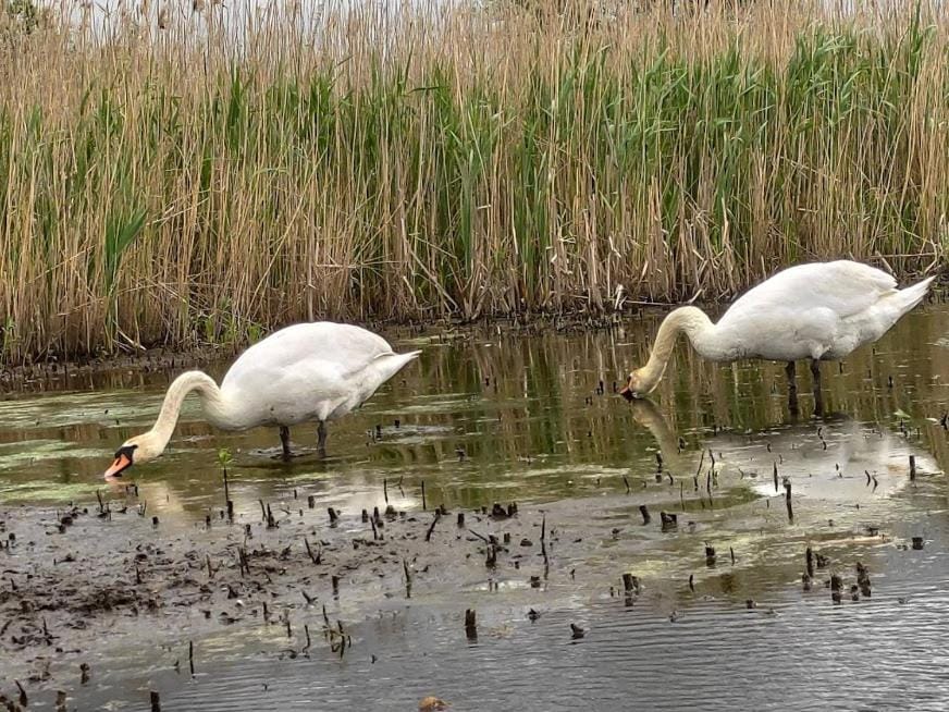 Domki letniskowe PLUSK House in West Pomeranian Voivodeship, Poland