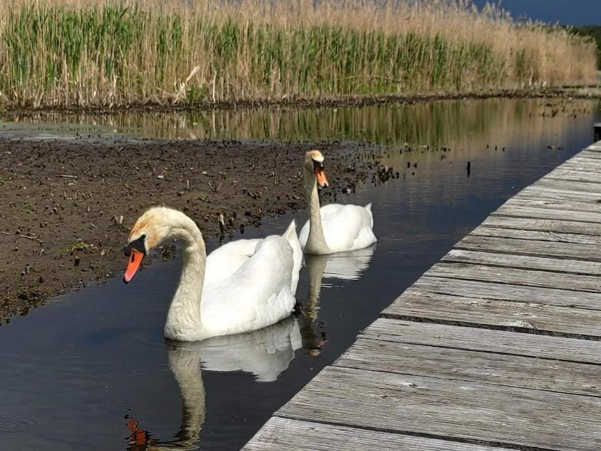 Domki letniskowe PLUSK House in West Pomeranian Voivodeship, Poland