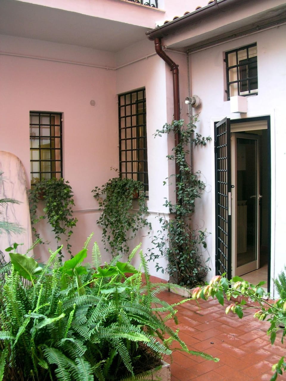 Garden view
