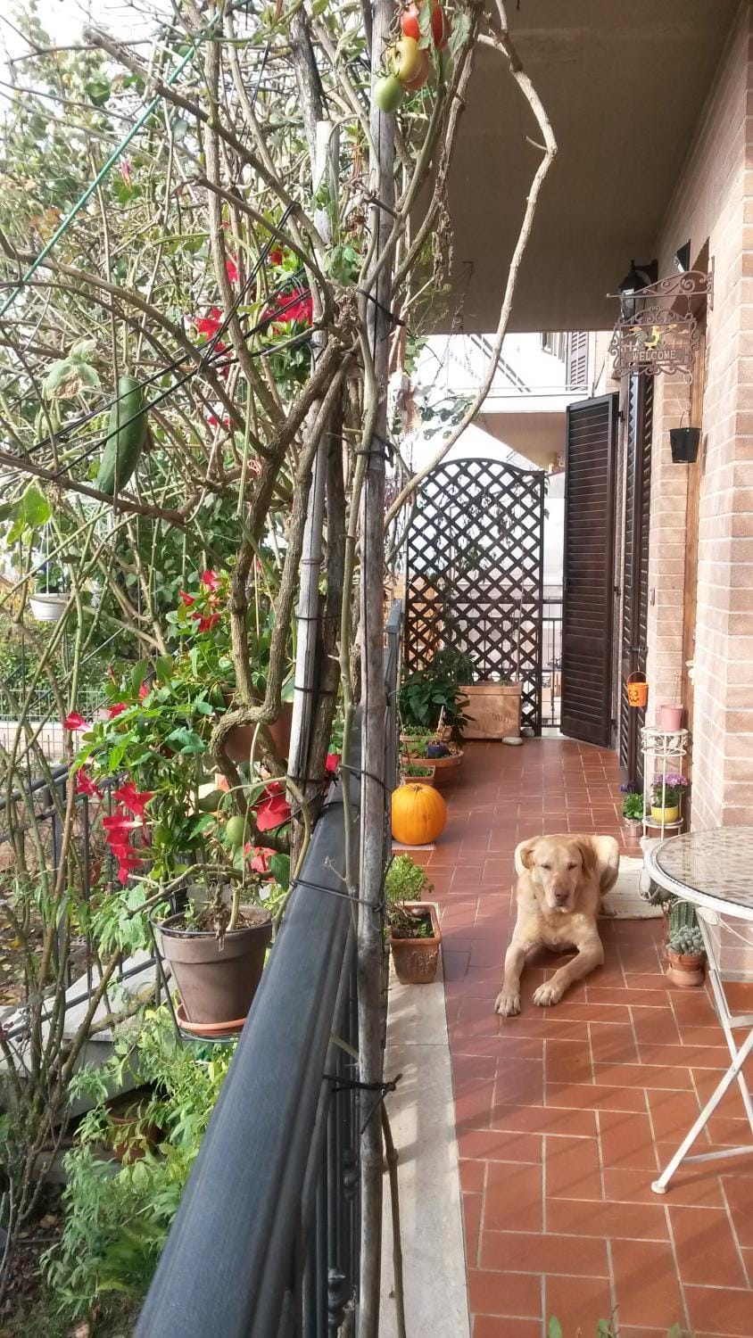 L'Incanto Bed and Breakfast in Tuscany