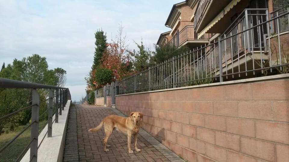 L'Incanto Bed and Breakfast in Tuscany