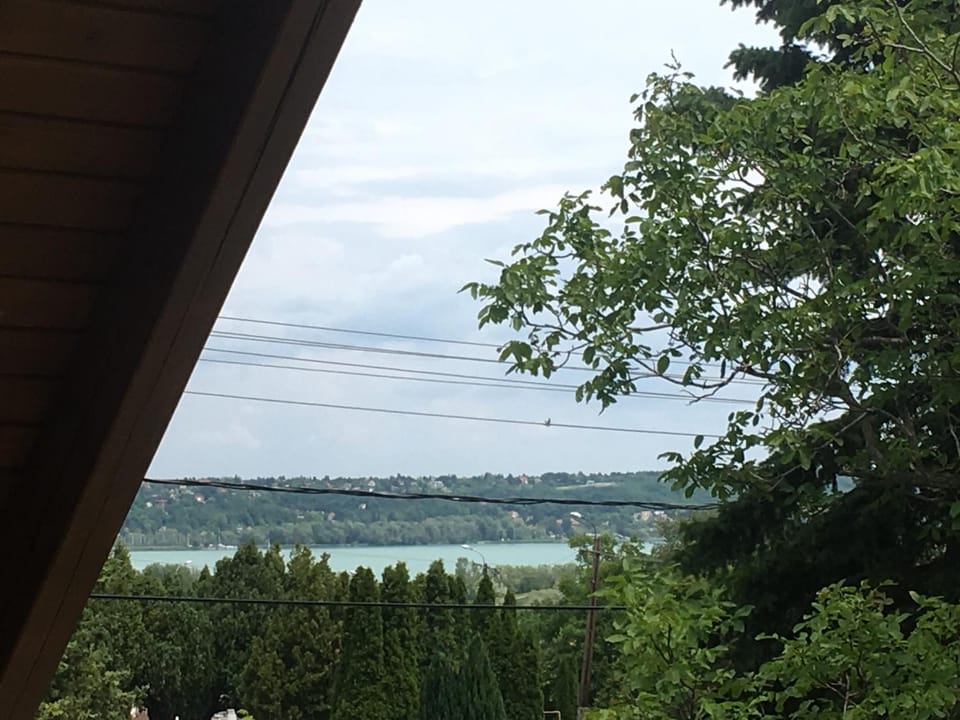 Balcony/Terrace, Lake view
