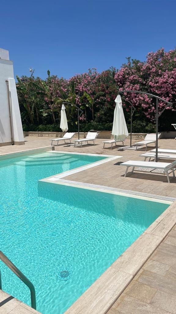 Day, Pool view, Swimming pool, sunbed
