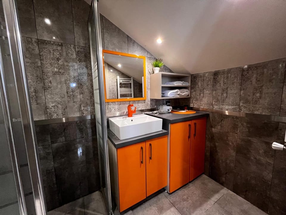 Toilet, TV and multimedia