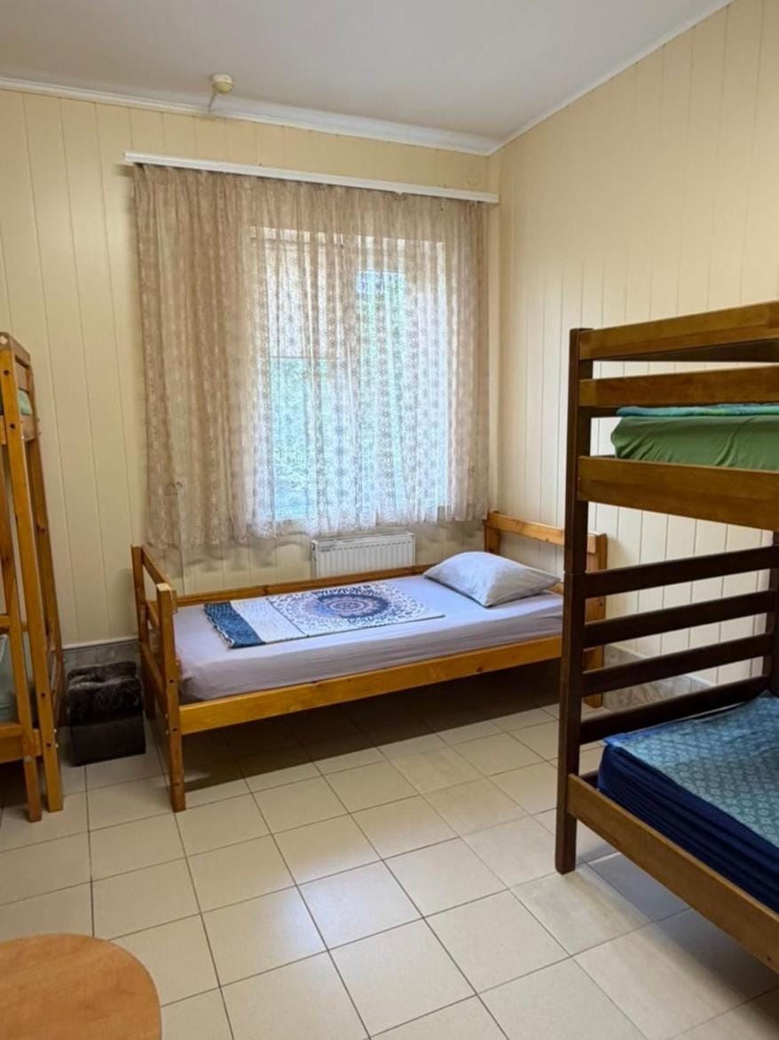Bed, Photo of the whole room, bunk bed
