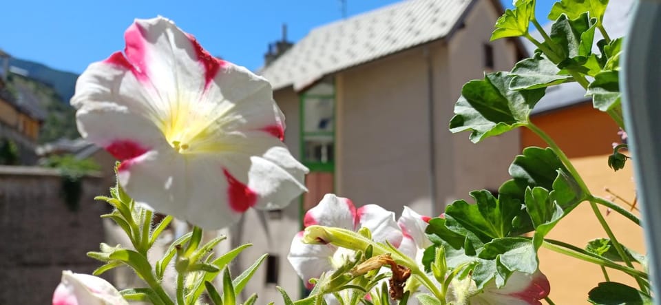 Maison à Tour Briançon Apartment in Briançon