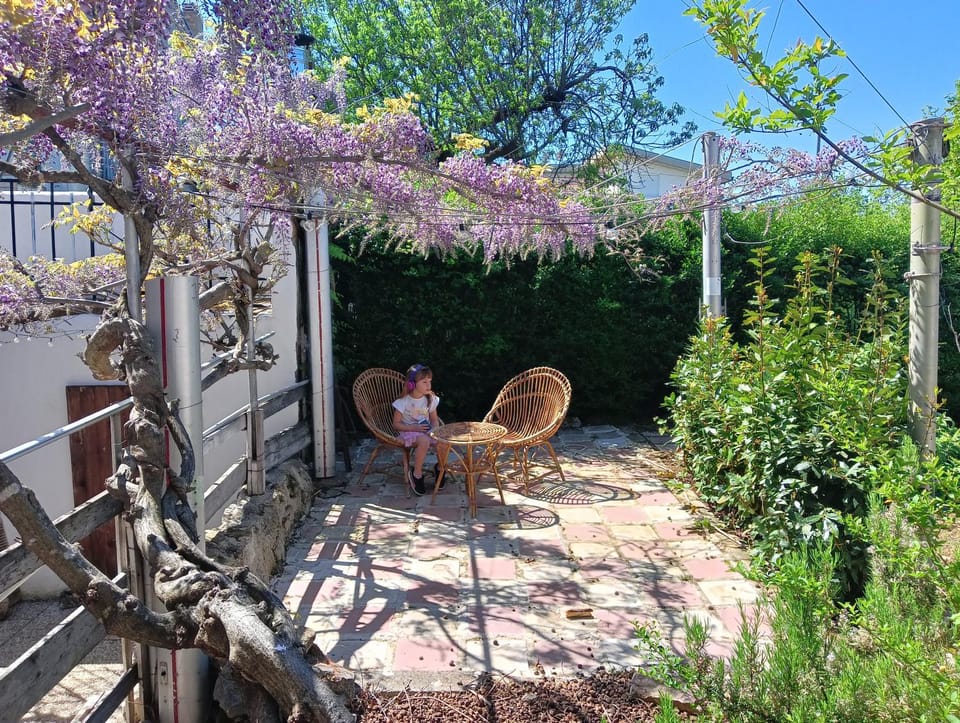Patio, Garden, Garden view