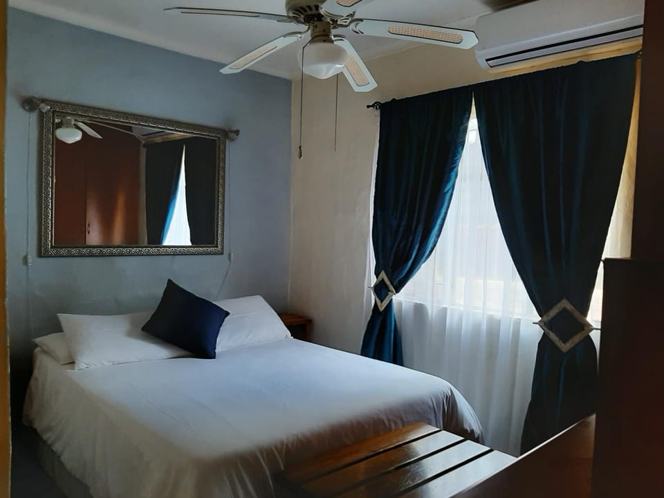 Zebra Guesthouse Bed and Breakfast in South Africa