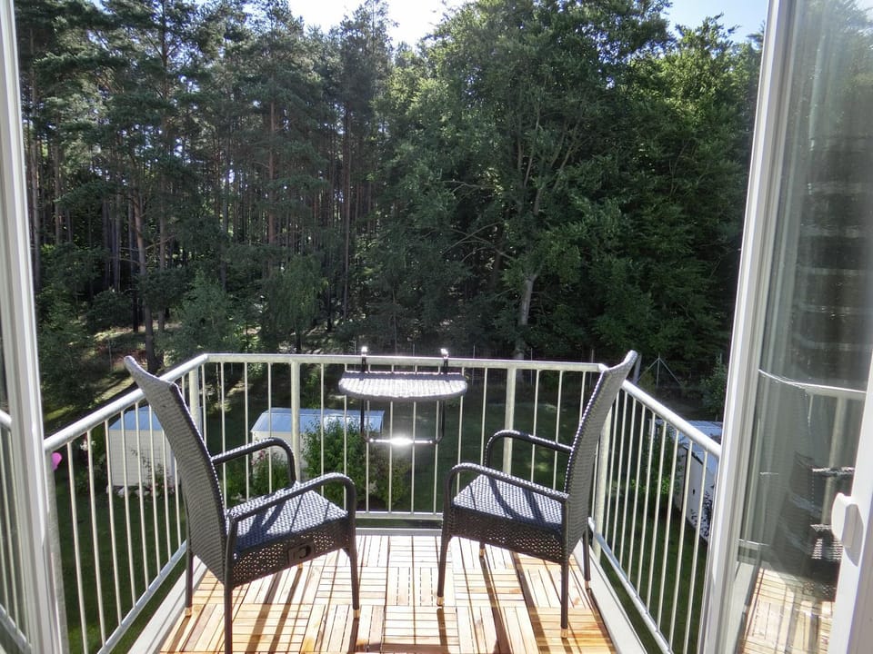 Natural landscape, Summer, Garden, Balcony/Terrace, Garden view, Sunrise