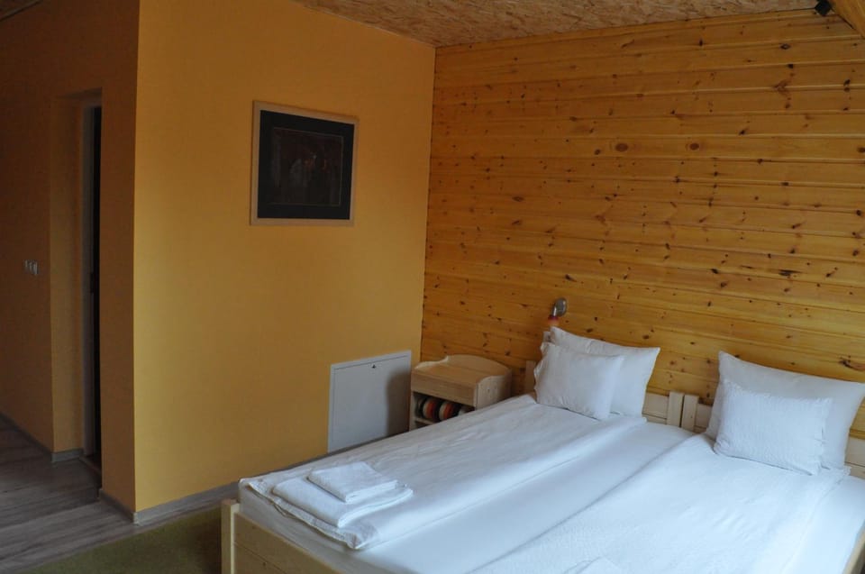 Mofetta Panzió Bed and Breakfast in Romania