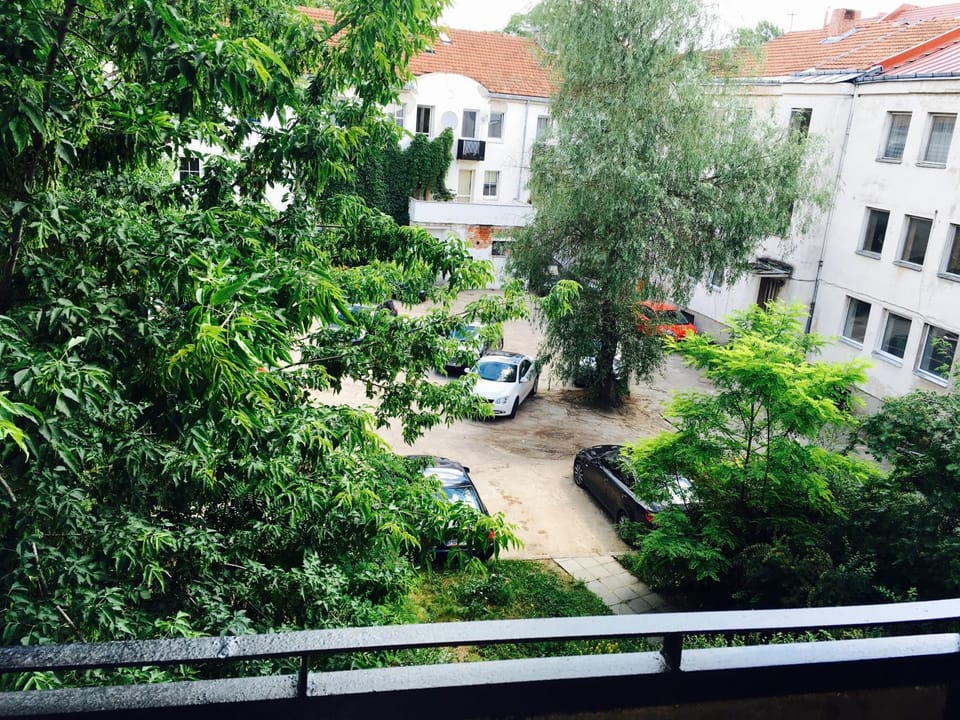 Patio, View (from property/room)