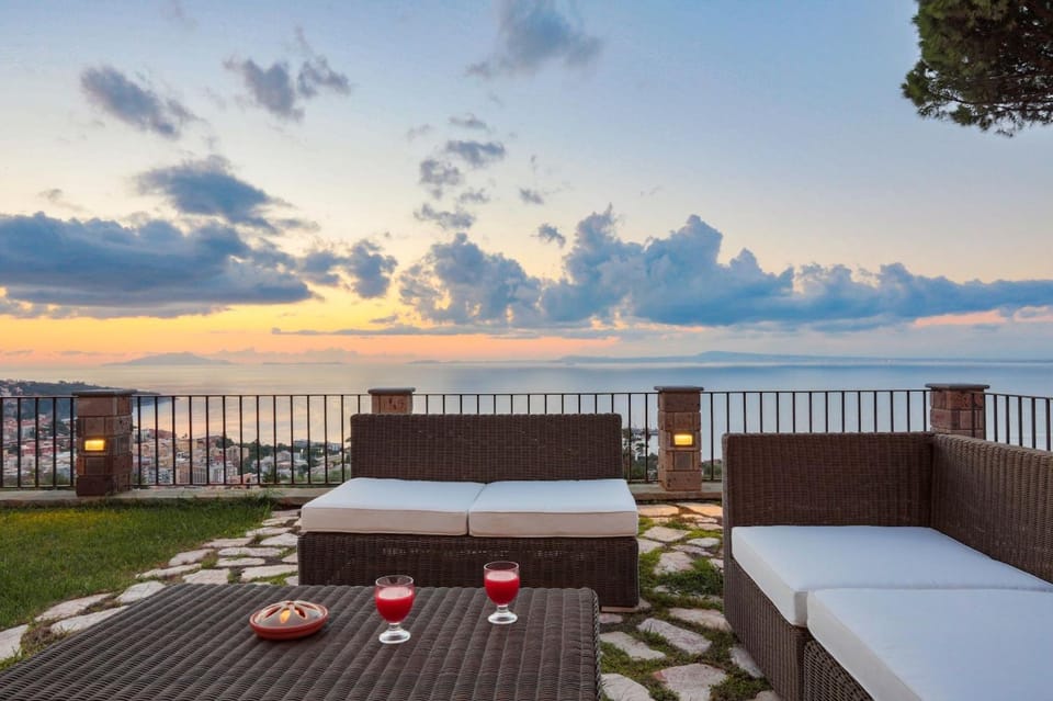 Patio, Garden, Garden view