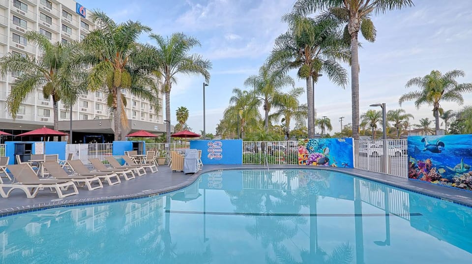 Pool view, Swimming pool