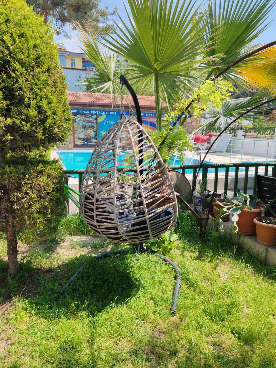 Garden, Pool view