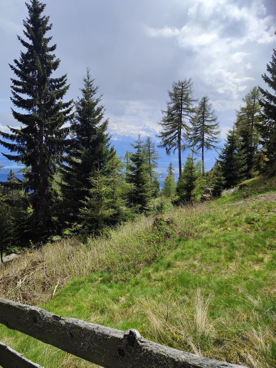 Natural landscape