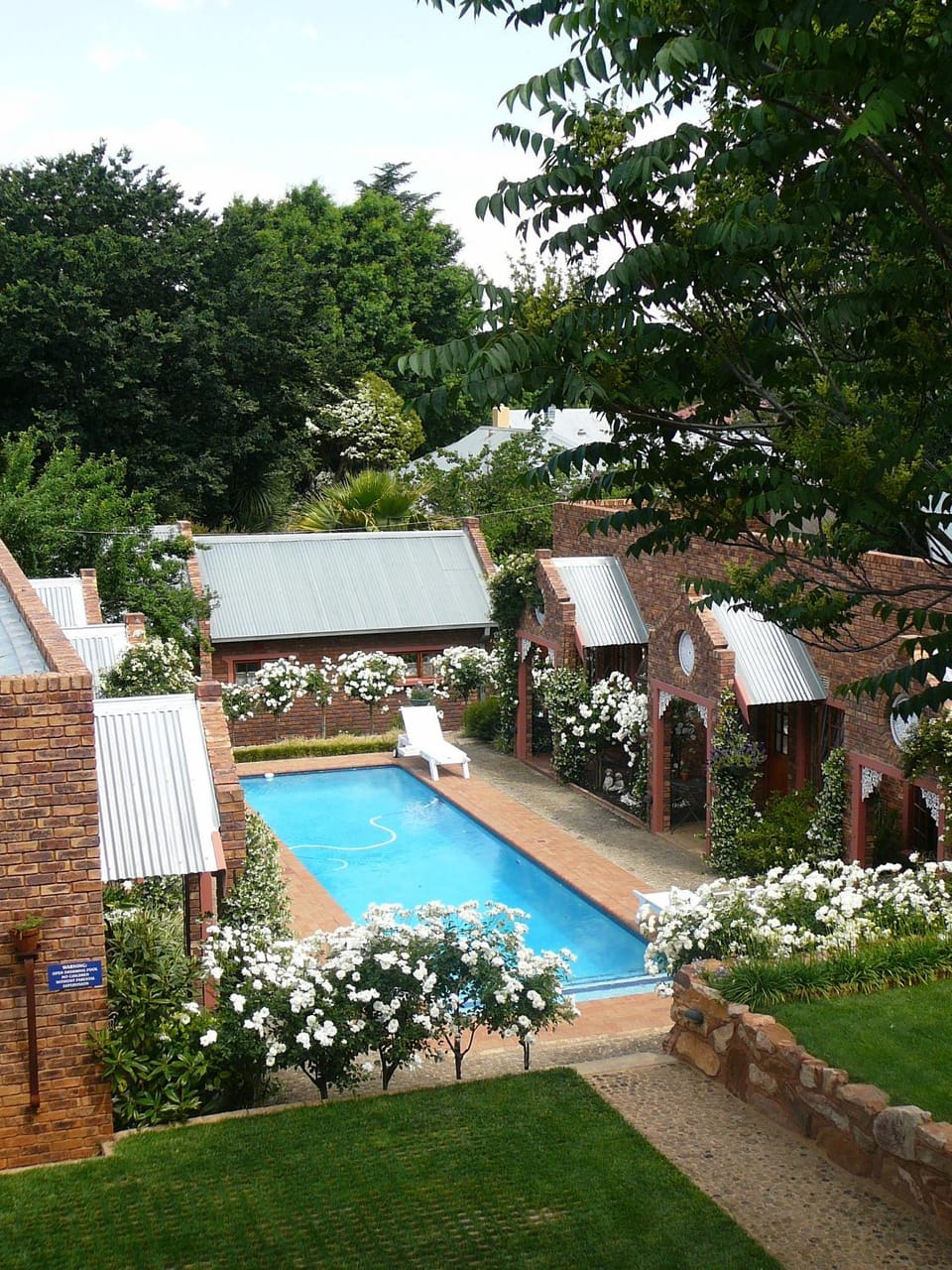 Garden, Pool view, Swimming pool