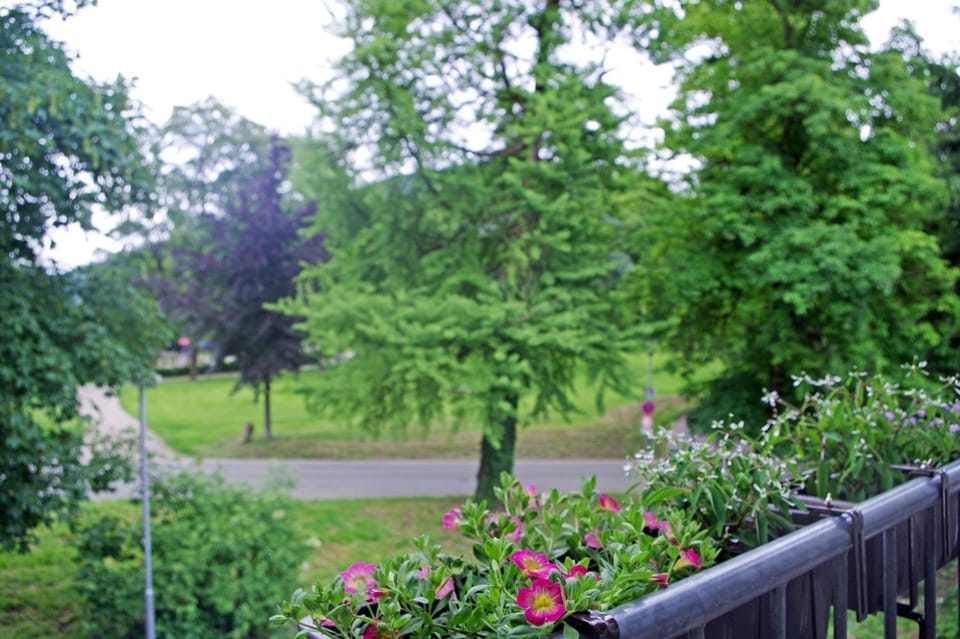 Balcony/Terrace, Garden view, Landmark view