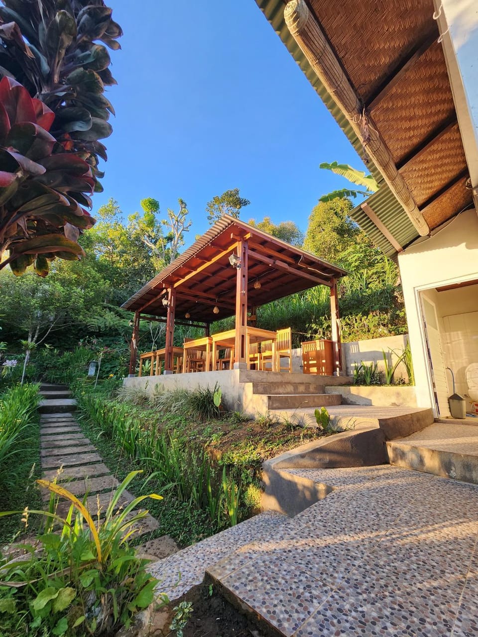 Restaurant/places to eat, Day, Garden, Garden view