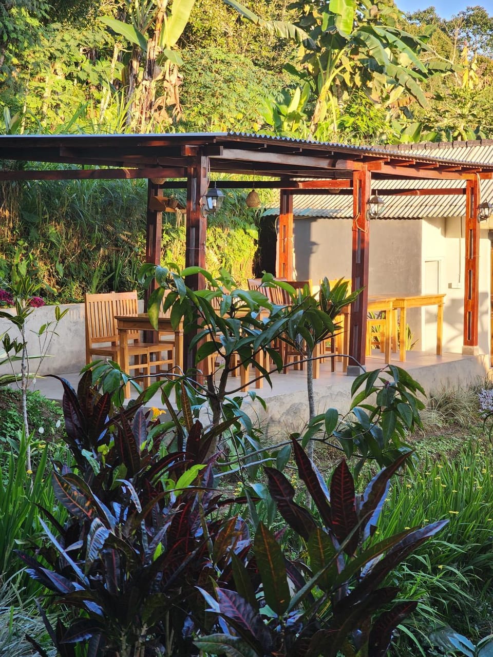 Restaurant/places to eat, Day, Garden, Garden view